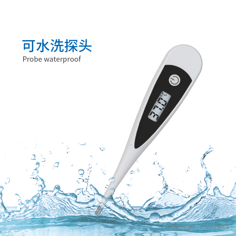 硬頭體溫計(jì)T19B